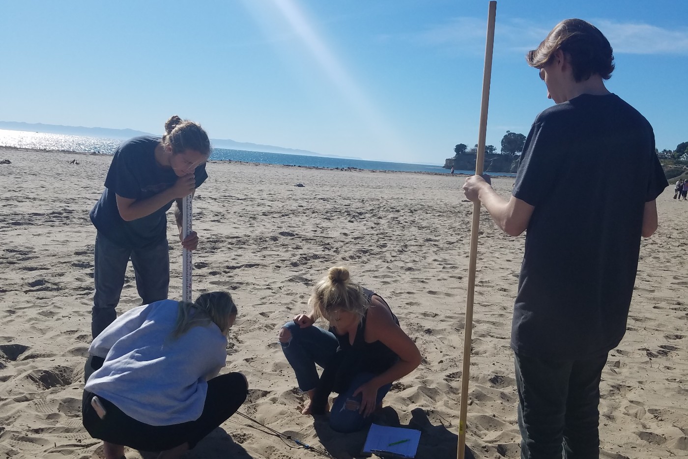 Students studying in sand